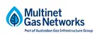 Multinet Gas Networks